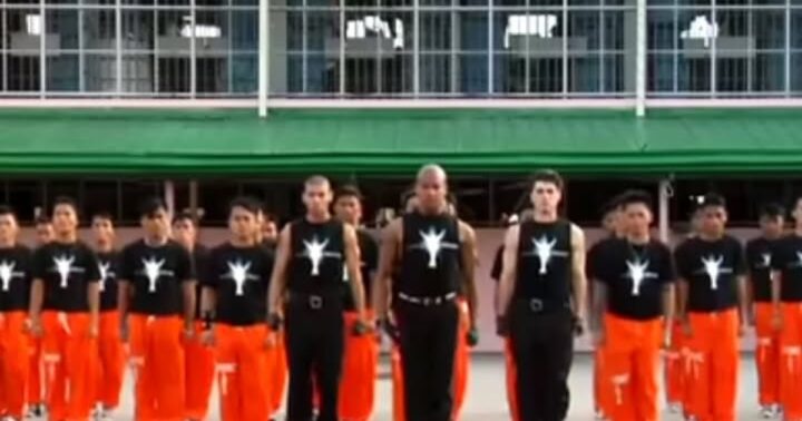 Cebu's They Don't Care About Us: Following Choreography at Group Scale