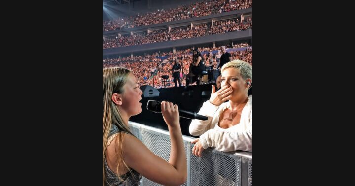 P!nk's Perfect: From a Greatest-Hits Collection to a Fan's Selection